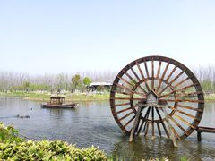 -合肥滨湖国家森林公园