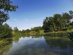 -桤木河湿地公园