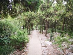 -云龙山
