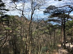 -黄山风景区