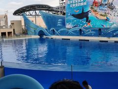 -上海海昌海洋公园