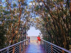 -上海吴淞炮台湾国家湿地公园