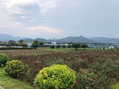 -君乐宝优致牧场