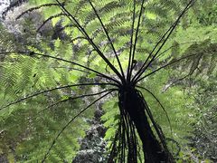 景点-福建天门山