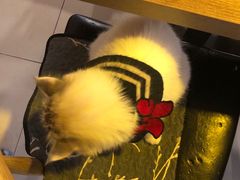 -平行世界·猫咖(首经贸店)