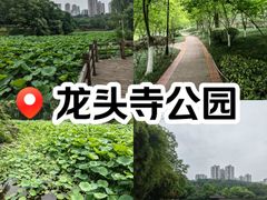 -龙头寺公园