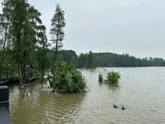 -海珠湖公园