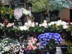 -ChaKo Flora ·茶子花艺 (市北店)