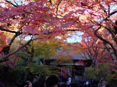 -常寂光寺