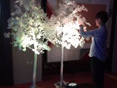 -上海龙之梦万丽酒店