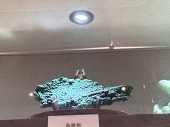 -陕西自然博物馆