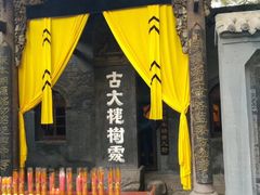 -大槐树寻根祭祖园