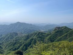 -六里坪国家森林公园