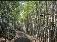-苏州环秀晓筑养生度假村