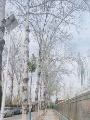 -润复丝·泽发防脱头皮管理