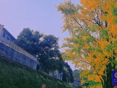 -岳麓山风景名胜区