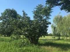 -汉长安城未央宫国家考古遗址公园