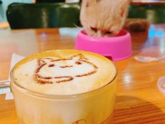 -猫小院猫主题餐厅(三里屯店)