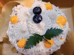 -野草莓自由市场