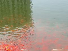 景点-西海子公园
