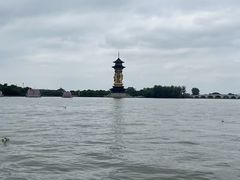 -溱湖国家湿地公园