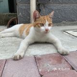 我院天团（26）