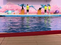 -北戴河圣蓝海洋公园