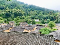 -杨家堂村
