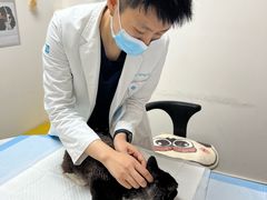 -美联众合动物医院·24h转诊中心
