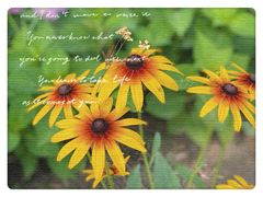 -安德鲁户外烧烤帐篷营地(马泉营店)