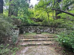 -天目山大树王景区