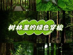 -桤木河湿地公园