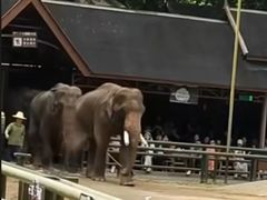 -西双版纳傣族园