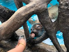 -华夏文旅海洋公园