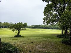 -上海吴淞炮台湾国家湿地公园