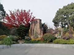 -昆山城市生态森林公园