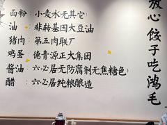 -鸿毛饺子(紫竹桥店)