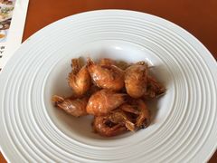 -上海玫瑰园度假酒店