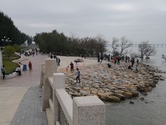 -宝安西湾红树林湿地公园