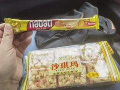 -中油碧辟·BP加油站(北环店)