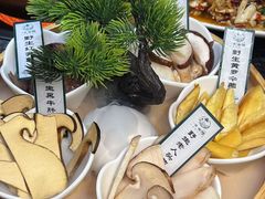 -一善菌·云南菌汤·云南菜(银泰城店)