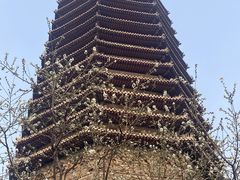 -玲珑塔公园