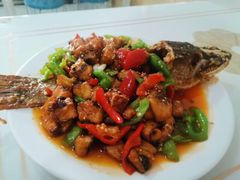 -煲来饱去冷水鱼