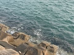 -星海广场