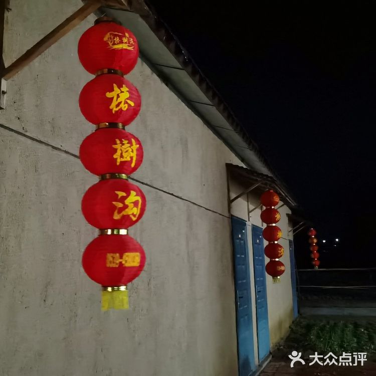 好客山东，椿树沟中，农家乐大餐！