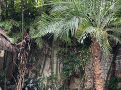 -陈熹公民族美食文化餐厅(中华广场店)