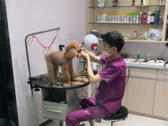 -宠颐生动物医院·小陆分院