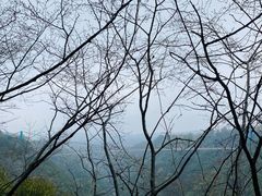 -丹山赤水风景名胜区