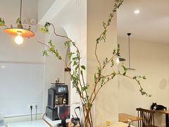 -有猫主题·治愈系猫咖(曾厝垵店)