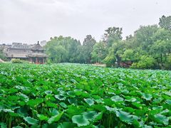 -莲池书院博物馆